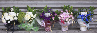 fiveflowers.jpg