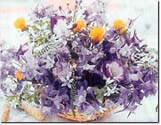 floralhealing2.jpg