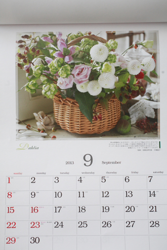 floralhealing4.jpg