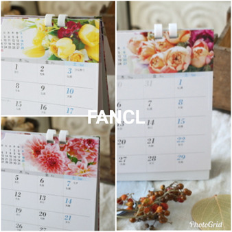 fnclcalender2018.jpg