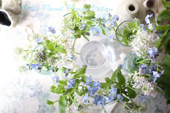 forgetmenot.jpg