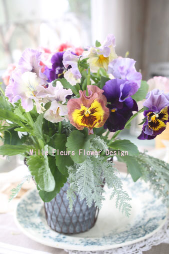 frenchpansy3.jpg