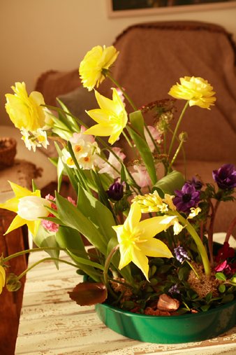 gardenstyle5.jpg