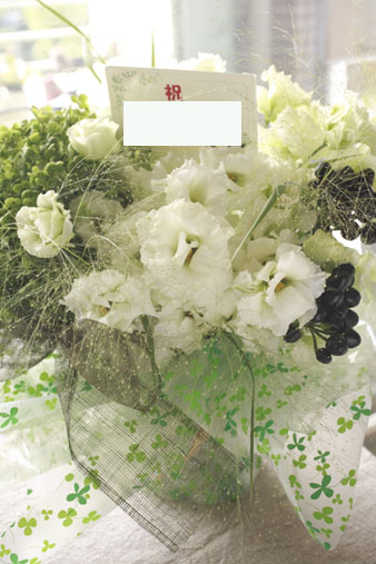 green1.jpg