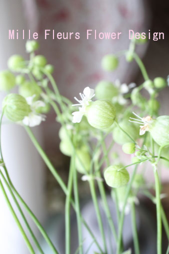 greenbell.jpg