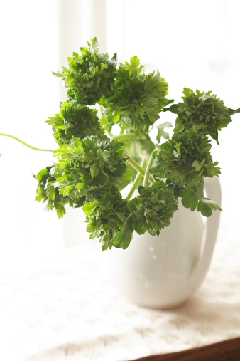 greenranan1.jpg