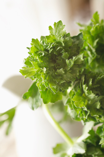 greenranan2.jpg