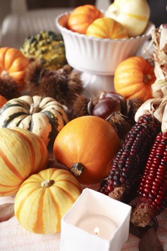 harvest.jpg