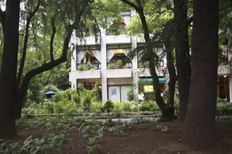 hibiya4.jpg