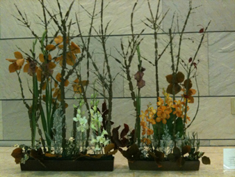 hijirikanautumndisplay1.jpg