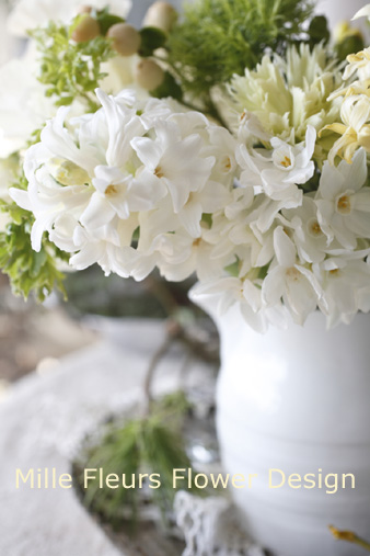 hyacinth.jpg