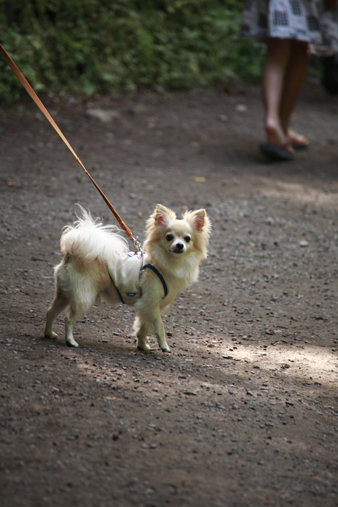 karuizawa13.jpg