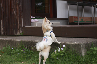 karuizawa18.jpg