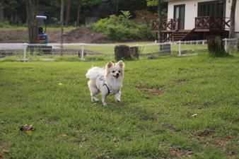 karuizawa19.jpg