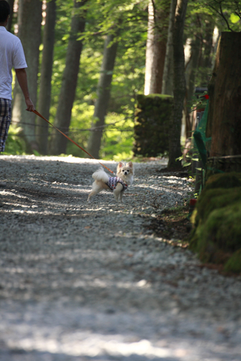 karuizawa29.jpg