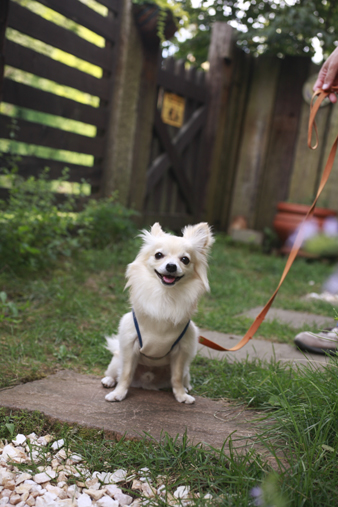 karuizawa4.jpg