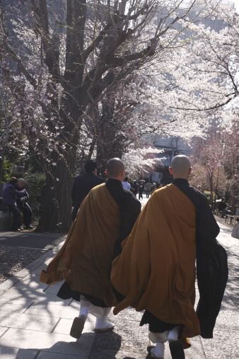 kichijouji15.jpg