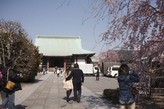 kichijouji2.jpg