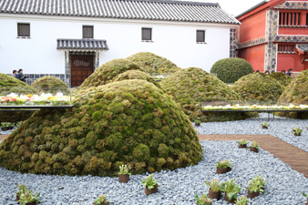 kurashiki9.jpg
