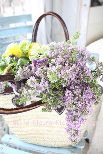 lilac.jpg