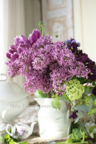 lilac.jpg