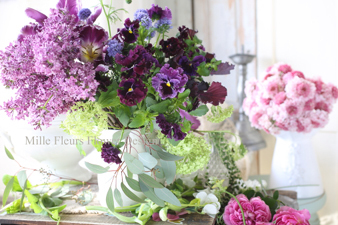 lilac4.jpg