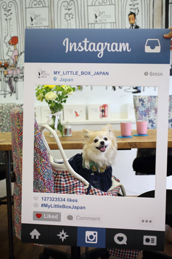 mylittlebox3.jpg