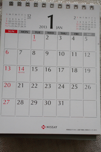 nissei20131-1.jpg