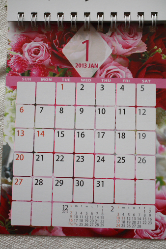 nissei20131.jpg
