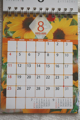 nissei20138.jpg