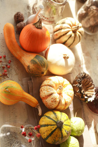 obakekabocha.jpg