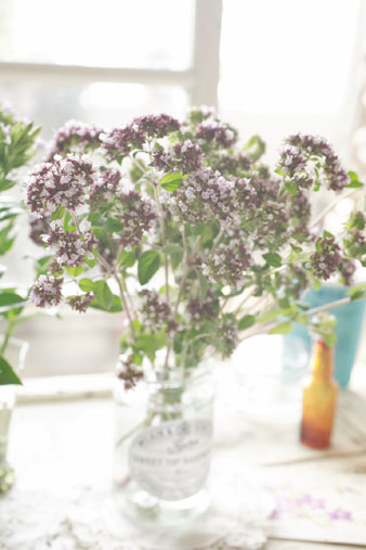 oregano.jpg