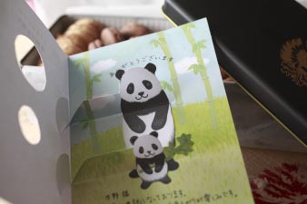 panda1.jpg