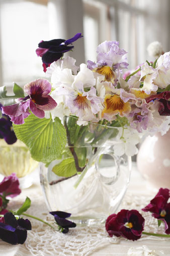 pansy3.jpg