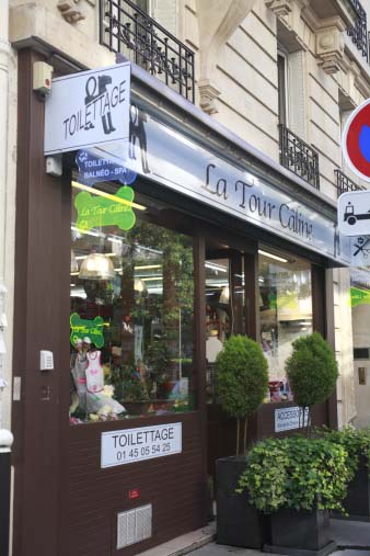 paris2012202.jpg
