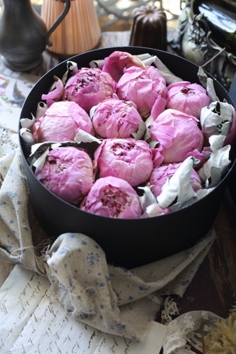 peonybox1.jpg