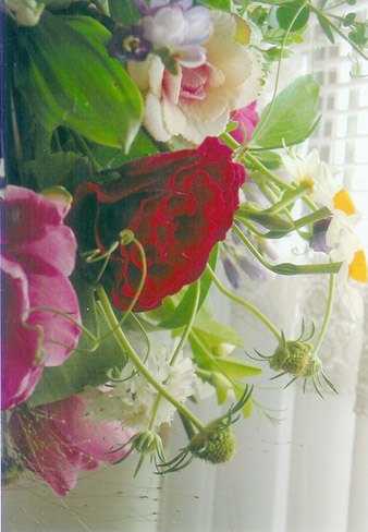 photo2.jpg