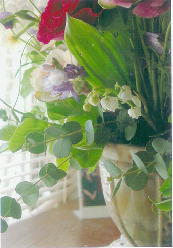 photo3.jpg