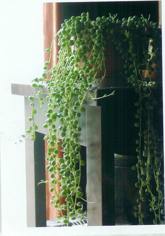 photo4.jpg