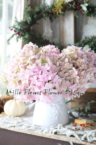 pinkhydrangea.jpg