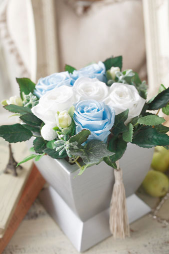 preservedbluewhite1.jpg