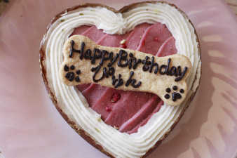 pyunbirthday1.jpg