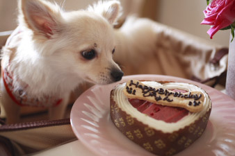 pyunbirthday3.jpg