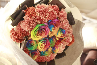 rainbowautumn2.jpg