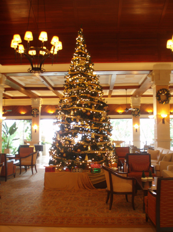 rankauichristmas1.jpg