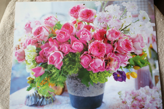 rose20153.jpg