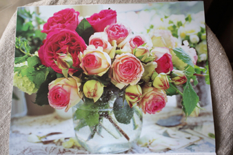 rose20154.jpg