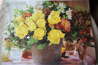 rose20156.jpg