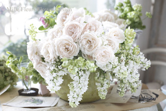 rose5.jpg