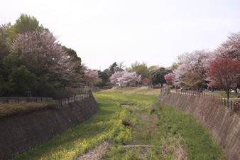 shouwa15.jpg
